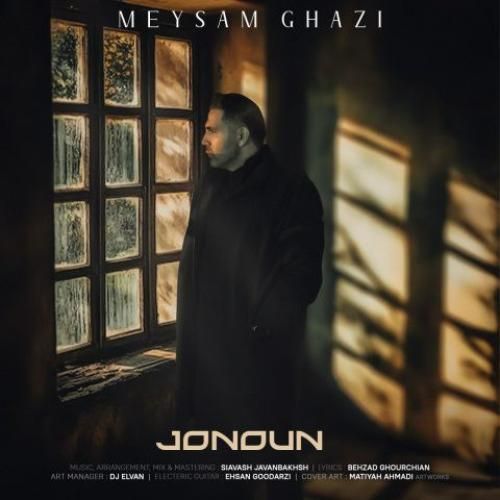 میثم قاضی جنون