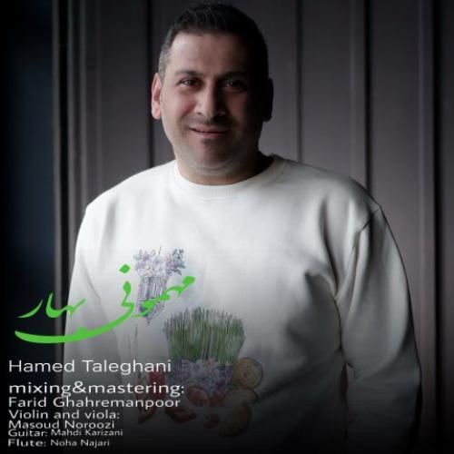 حامد طالقانی مهمونی بهار