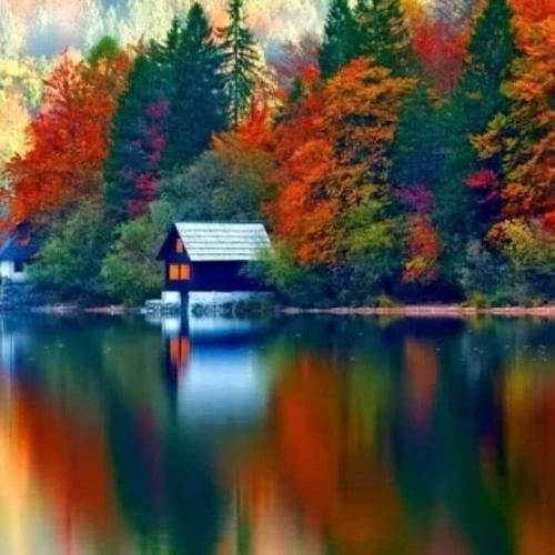  قلب تو پروانس و زد پر کی میکنه حرفاتو باور