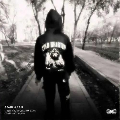 امیر آزاد دل سرد