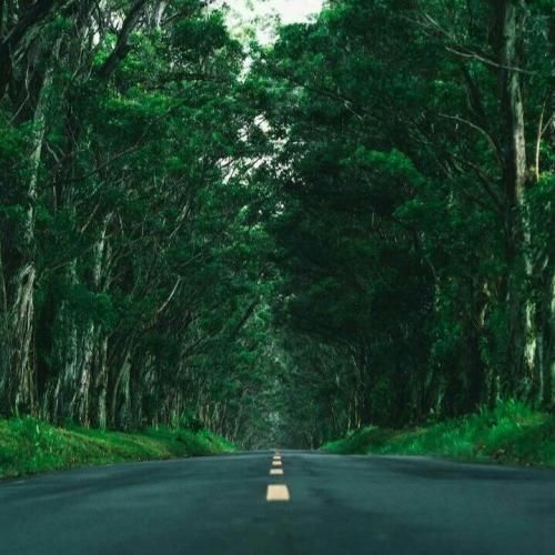 الکل بهم نمیسازه درکل ولی خوب بهتر از گل