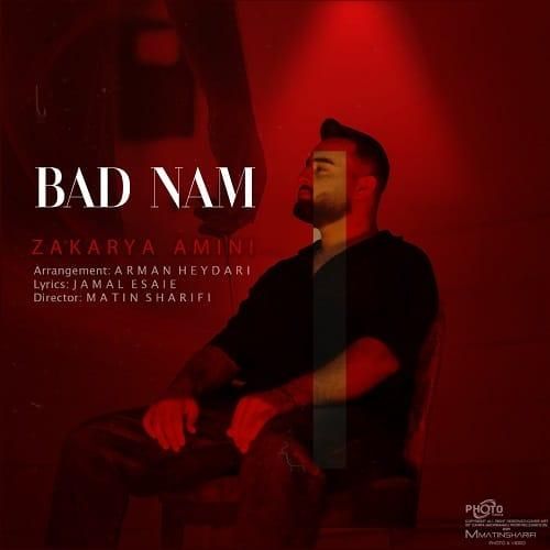 زکریا امینی بد نام