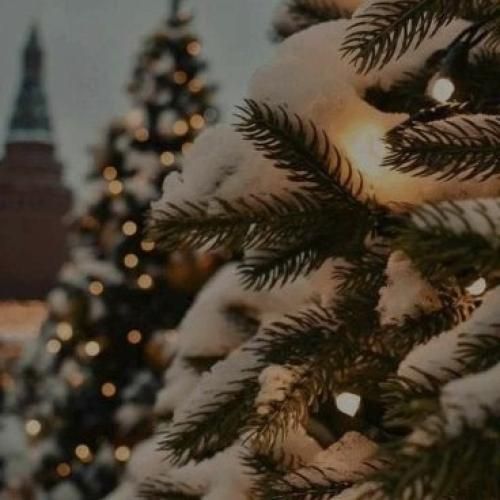  دافی میخواد بوس دلش سپی معکوس بکش