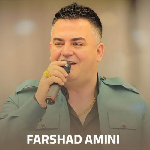 فرشاد امینی یاران پیم بلین