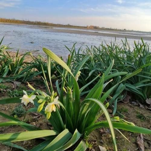  تو فرق داری با همه ولی قلبم از آهنه رفتن تنها راهمه