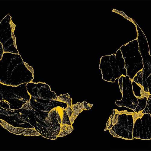 پای تو آف وایت و پای من کانورس بدون داره برات