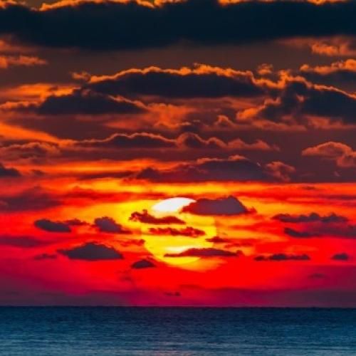همش فکرت این بود کجا برات کی می ارزه