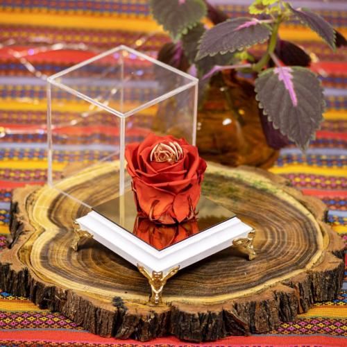  میخوام بیام سمتت ولی دیگه دوره راهت برق اولای رابطه