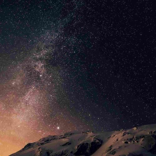  از آفتاب پرست تو رنگارنگ شدن اینا تندترن واقعی بودم