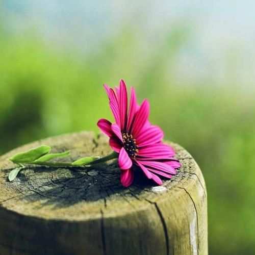  تو دلت پیش منه بازم از یاد نتونستم بری از یادم ای وای