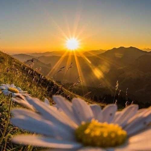 اصلا نمیدونم این دافه کیه پیش من بچه خوبیه