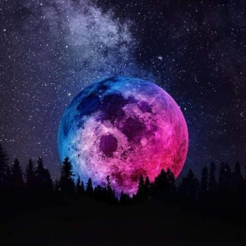  کاش سمتت دست دراز نمیکردم کاش سر و صدا نمیکردم