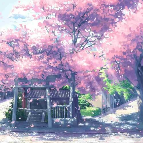 حتی از ننه بابا پشتوانه نبود گفت نمیتونی هرکی