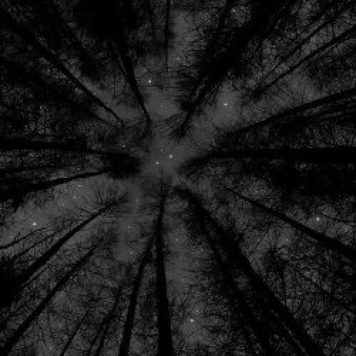  بودم یه بچه تخس ناخلف غرق استعداد