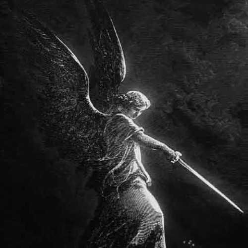 دورچی بیخیالی