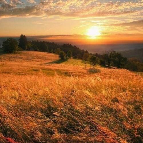 کاش که این برفا نرن کاش نشه فصلا عوض