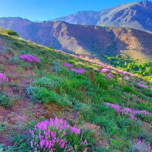 ریمیکس جدید دوباره بارون زد و خستگی و حال بدو هوش مصنوعی