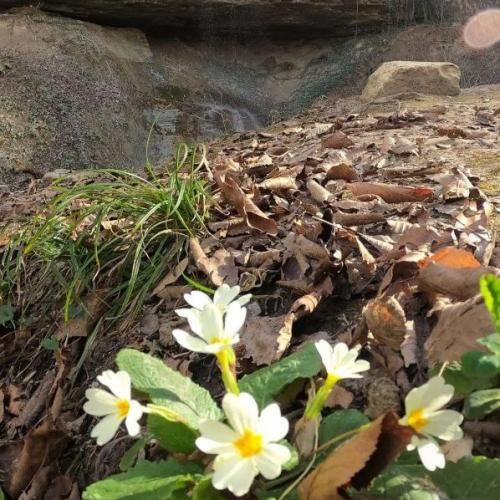 باز جمع شد رفیقا مقصد چهار اولنگ باشه