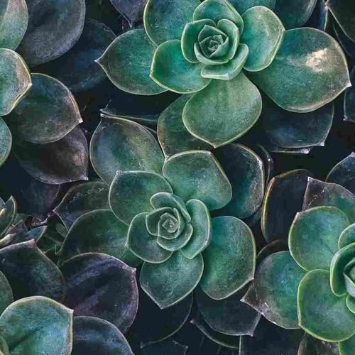 ریمیکس جدید سخته واقعا دروغه بگم رفته یادم با صدای زن