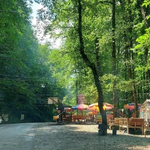  من و تو زنده موندیم و به سختی زندگی کردیم