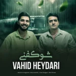 دانلود آهنگ جدید شو کفنی از وحید حیدری