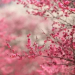 میپوشه صندل از من میگیره پول کلاس آنلاین ‌